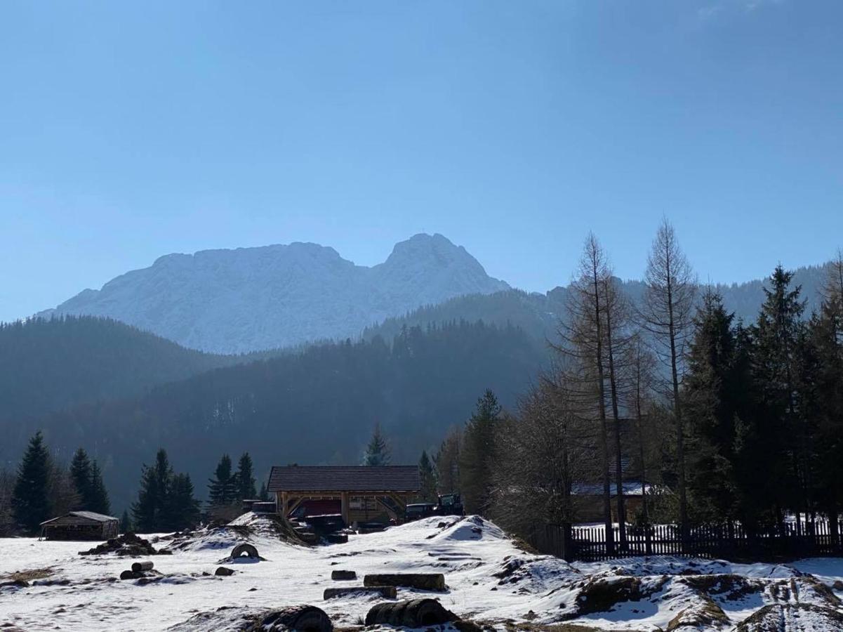 Apartament Mysliwski Zakopane Esterno foto
