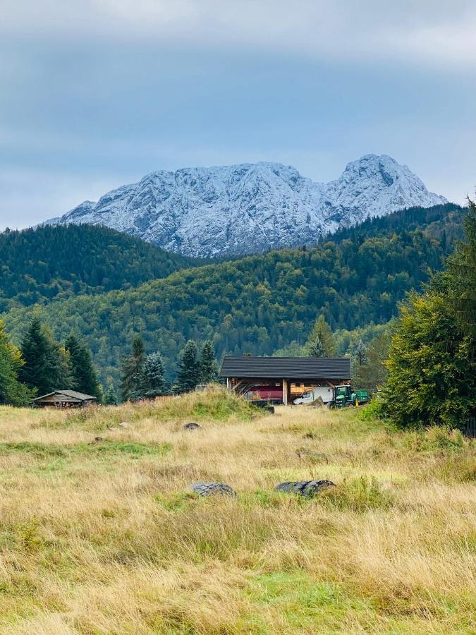 Apartament Mysliwski Zakopane Esterno foto